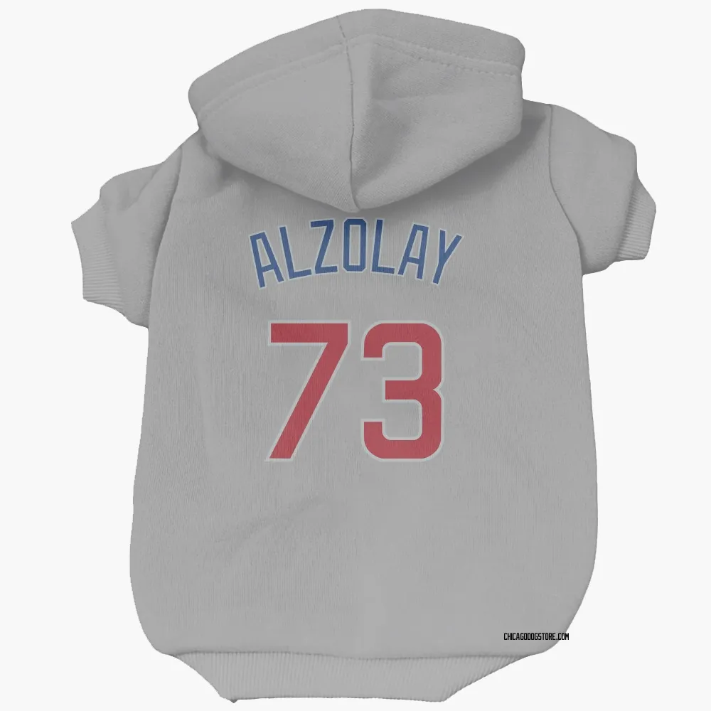 Adbert Alzolay Chicago Cubs Men's Gray Roster Name & Number T-Shirt 